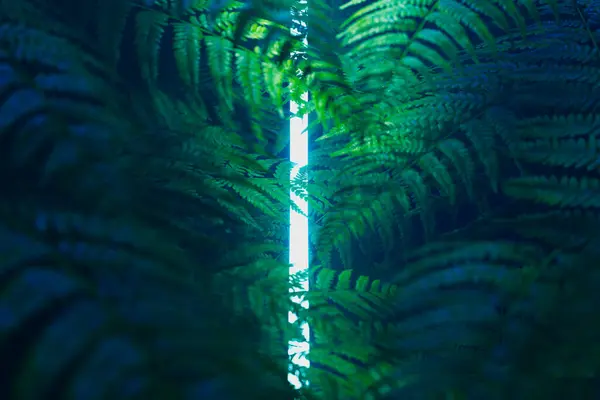 この詳細なマクロショットは 鮮やかな緑の葉の間のギャップを介して日光フィルターとして柔らかい光で浴びた緑色のフロムの複雑な美しさをキャプチャします — ストック写真