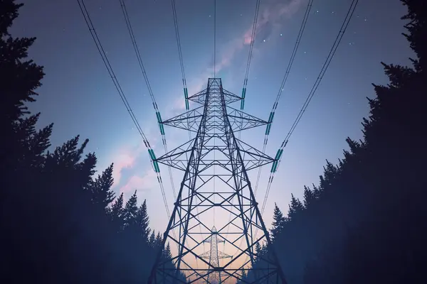 Elektriciteitsmasten Domineren Het Uitzicht Als Zich Uitstrekken Een Rustig Bos — Stockfoto