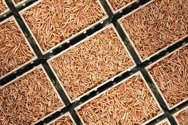 Top View Showcasing Vast Collection Precision Engineered Copper Bullets Methodically — Stock Photo, Image