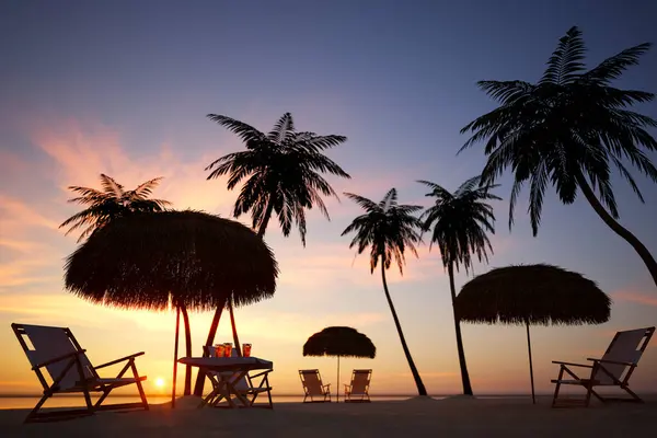 Tropikal Sükunetin Özünü Özetleyen Mükemmel Bir Tatil Kaçışı Sağlayan Palmiye — Stok fotoğraf