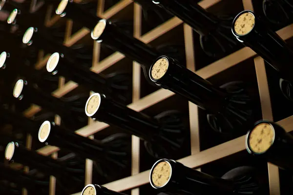 Sélection Bouteilles Vin Avec Bouchons Visibles Symétriquement Organisées Dans Porte — Photo