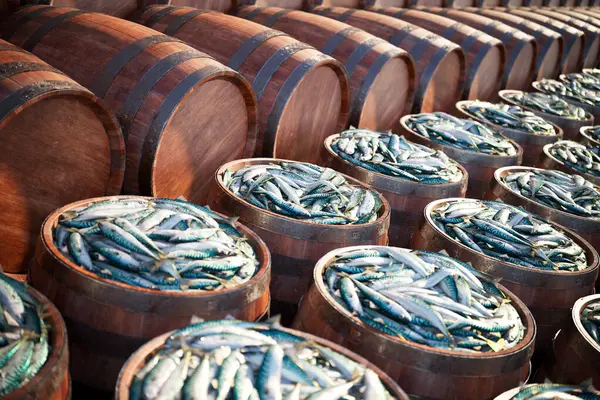 Enticing Market Scene Showcasing Abundance Freshly Caught Silver Blue Fish — Stock Photo, Image