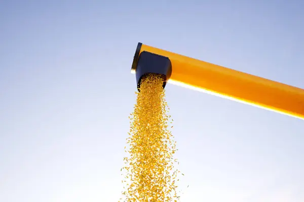 Angled Tube Spills Lavish Cascade Golden Confetti Azure Expanse Casting — Stock Photo, Image