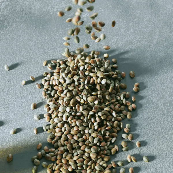 Close View Organic Hemp Seeds Heaped Scattered Textured Grey Backdrop — Stock Photo, Image