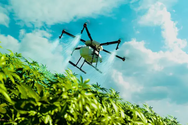Avanzado Dron Agrícola Volando Sobre Cultivos Vibrantes Dispensando Fertilizantes Pesticidas —  Fotos de Stock