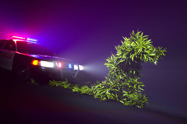 A captivating image portraying the luminous silhouette of a cannabis plant foregrounded by the intense, colorful beams of a police car's lights against a mysteriously dark backdrop.