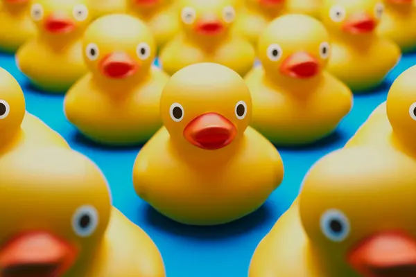 Meticulously Organized Collection Bright Yellow Rubber Ducks Presents Stunning Contrasting — Stock Photo, Image