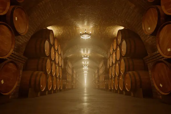Explore Archaic Ambiance Underground Wine Cellar Expertly Lined Seasoned Oak — Stock Photo, Image