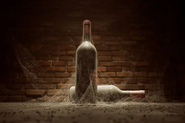 Pair Time Weathered Wine Bottles Shrouded Dust Adorned Delicate Cobwebs — Stock Photo, Image