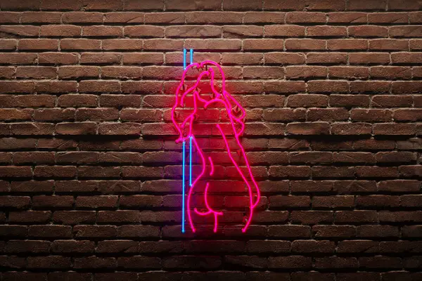Captivating Neon Silhouette Woman Set Rough Brick Wall Illuminated Dazzling — Stock Photo, Image