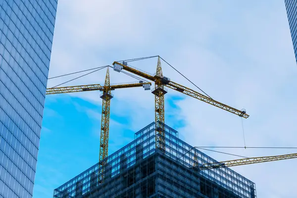 Majestic Tower Cranes Dominate Emerging Silhouette New Building Amidst Hustle — Stock Photo, Image