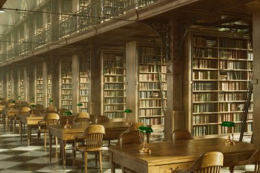 Bu antika kütüphane süslü ahşap kitap rafları, zarif masalar, klasik sandalyeler ve detaylı demir balyalar, hepsi yüksek kemerli tavanların altında sıcak masa lambaları ile yıkanmış.