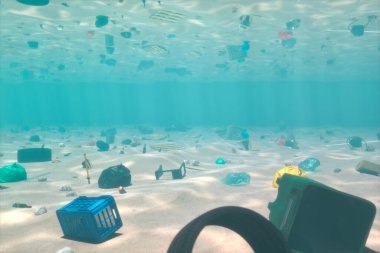 Bu etkili görüntü, deniz yaşamını boğan ve okyanuslarımızın sağlığını bozan, enkazla kaplanmış deniz yatağını gözler önüne seren plastiğin ciddi sorununu vurguluyor..