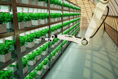 Modern, kontrollü sera ortamında yapraklı yeşilliklerin dikey ekinleriyle ilgilenen robot kollar, topraksız tarımın sürdürülebilirliğini ve verimliliğini vurguluyor..