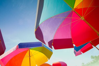 A captivating beach scene showcasing vibrant, multicolored umbrellas against a clear blue sky, evoking a sense of leisure, vacation, and summer bliss. clipart