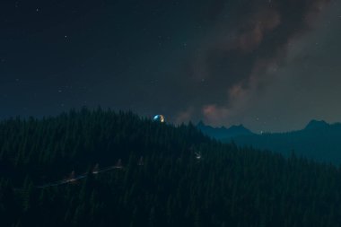 Dolu bir ormanın dingin güzelliğini deneyimleyin. Yıldızlarla dolu bir gökyüzünün altında, alacakaranlıkta siluetli ağaçların arasından bakan mistik bir köprü..