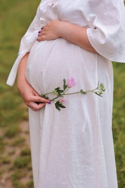 Beyaz yaz elbisesi içinde hamile bir kadın doğa arka planında güherçile tutuyor. Hamile bir kadının karnının fotoğrafını çek. Aşk konsepti. Mutlu hamilelikler