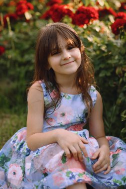 Yazın bahçede çimlerin üzerinde oturan mavi elbiseli küçük bir kızın portresi. Güzel çiçekler kırmızı güller. Çocuklar - Hayat Çiçekleri. Gençliğin cazibesi. Hayalperest çocuk. Mutlu çocukluk kavramı