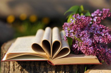 Eski kitapların sayfaları kalp şeklinde katlanmış. Şiir kitabı ve leylak dalı. Leylak çiçekleri ve retro kitapla klasik bir kompozisyon. Öğretmenler günü, anneler günü, sevgililer günü. İlkbahar. Mesaj için yer var. Yatay fotoğraf