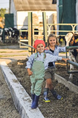 Yazın inek çiftliğindeki mutlu çocukların dikey resmi. Çiftçi kardeşler hayvanlarla oynarlar. Çocuk ve hayvan dostluğu. Kırsalda çocukluk.