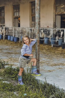 Mutlu çiftçi çocuğun yazın bir çiftlikte ineklerle oynadığı dikey fotoğraf. Çocuk ve hayvan dostluğu. Kırsalda mutlu bir çocukluk