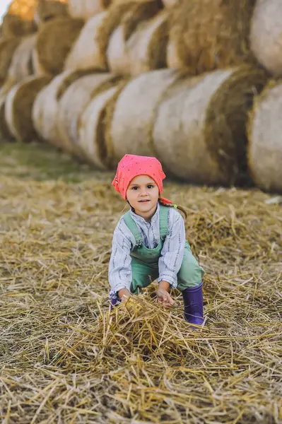 4-5 yaşlarında küçük bir kız yaz aylarında saman balyaları üzerinde samanla oynuyor. Kırsalda mutlu bir çocukluk. Mutlu yazlar. Kır hayatı, tarım ve kırsal yaşam tarzı