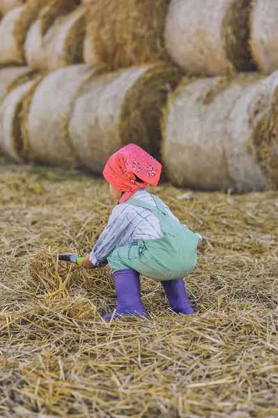 Çiftçi kızın dikey çekimi, yaz aylarında saman balyalarının üzerine kürekle saman fırlatmak. Kırsalda mutlu bir çocukluk. Mutlu yazlar. Kır hayatı, tarım ve kırsal yaşam tarzı.