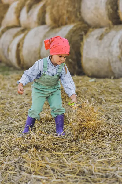 Tatlı çiftçi kız saman balyalarının arka planına kürekle saman atıyor. Kırsalda mutlu bir çocukluk. Mutlu yazlar. Kır hayatı, tarım ve kırsal yaşam tarzı