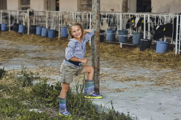 Çiftçi kızın yazın bir çiftlikte ineklerle oynadığı yatay fotoğraf. Çocuk ve hayvan dostluğu. Kırsalda mutlu bir çocukluk