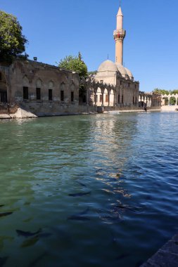 Balkligol, Sanliurfa, Türkiye - 15 Temmuz 2023: Göl ve içindeki balık, Hz. İbrahim 'in ateşe atıldığına inanılan Anlurfa şehir merkezinde yer almaktadır.