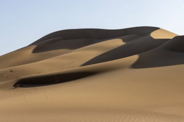 Çöldeki kum tepeleri. İzole edilmiş