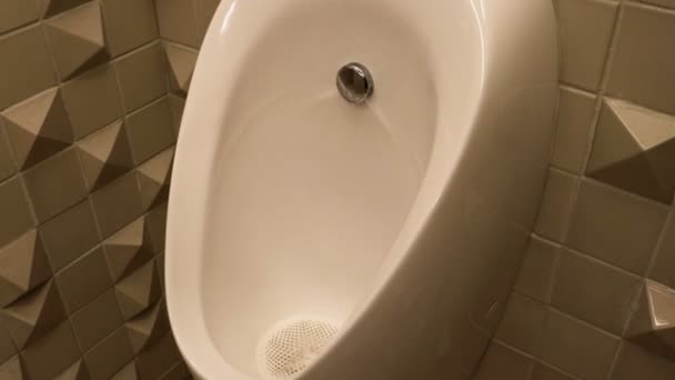 Toilettes Debout Pour Les Hommes Qui Urinent Urinoir Porcelaine Blanche — Video