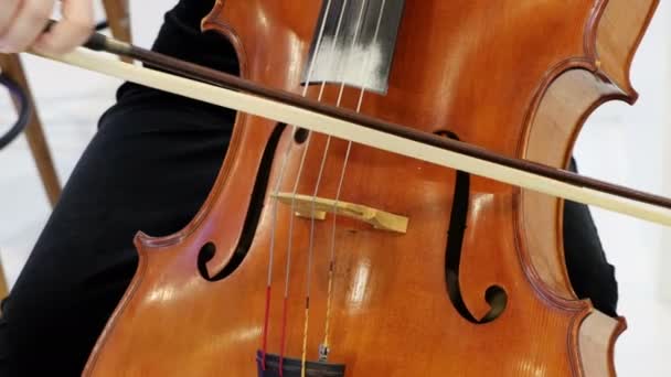 バイオリンを演奏するミュージシャンの女性の近くに — ストック動画