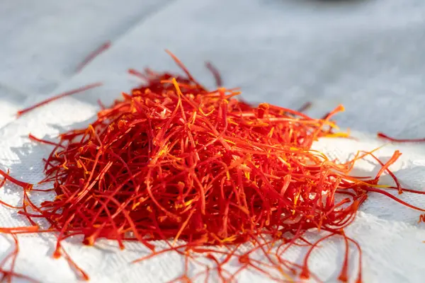 Taze safran bitkisi yakın mesafede, kurumuş değil.