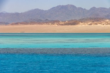 Ras Mohammed Ulusal Parkı, Kızıl Deniz, Sharm El Sheikh, Mısır 'daki Turkuaz deniz ve mercan resifleri