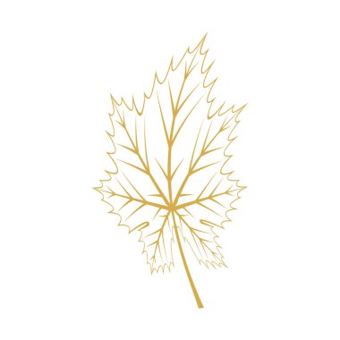 Akçaağaç yaprağı logosu Şablon çizimi tasarımı