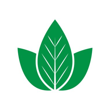 Yeşil yaprak logosu ekoloji doğa element vektör simgesi