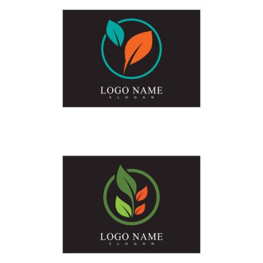 Yeşil yaprak ekoloji doğa eleman vektör logolar