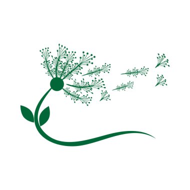 Karahindiba çiçeği logo vektör şablonu tasarımı