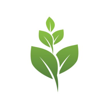 Yeşil yaprak illüstrasyon doğa logosu tasarımı