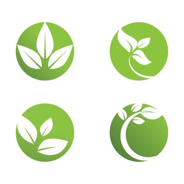 Yeşil yaprak ekoloji doğa eleman vektör logolar