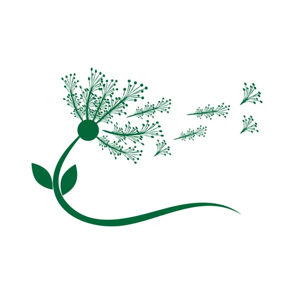 Dandelion flower logo vector template design
