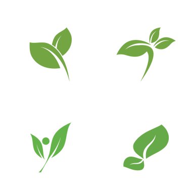 Yaprak Simgesi Vektör İllüstrasyon Tasarım Logosu şablonu