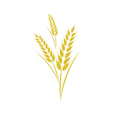 Tarım buğday vektör tasarımı 