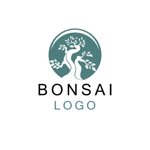 Восточное Искусство Бонсай Японский Миниатюрный Плант Tree Векторе Дизайна Логотипа — стоковый вектор
