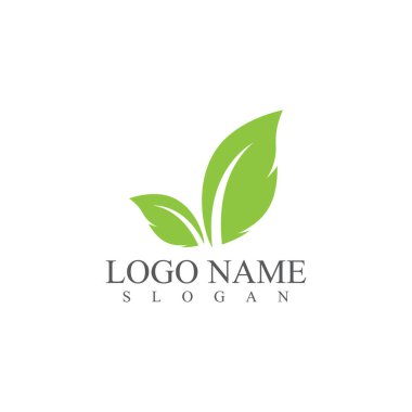 Yaprak Simgesi Vektör İllüstrasyon Tasarım Logosu şablonu