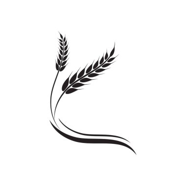 Tarım buğday vektör tasarımı 