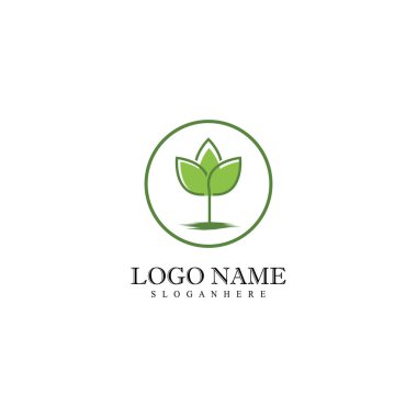 Nane düz vektör renk şablonu bırakır