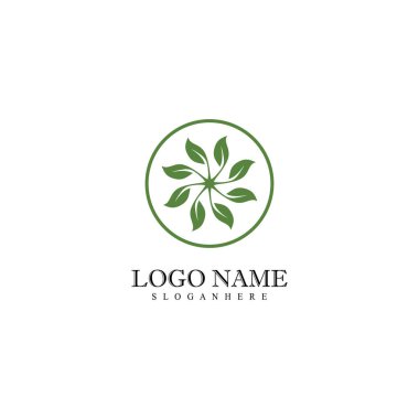 Nane düz vektör renk şablonu bırakır