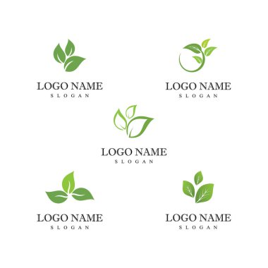 Yaprak Logo Şablonu vektör sembolünü doğa olarak ayarla